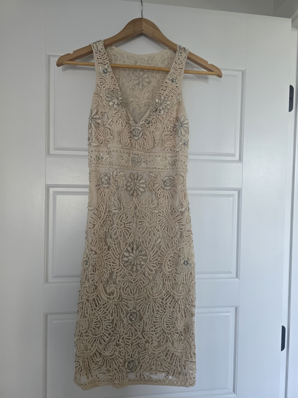Sue Wong Beaded Lace Sheath Dress in Nude